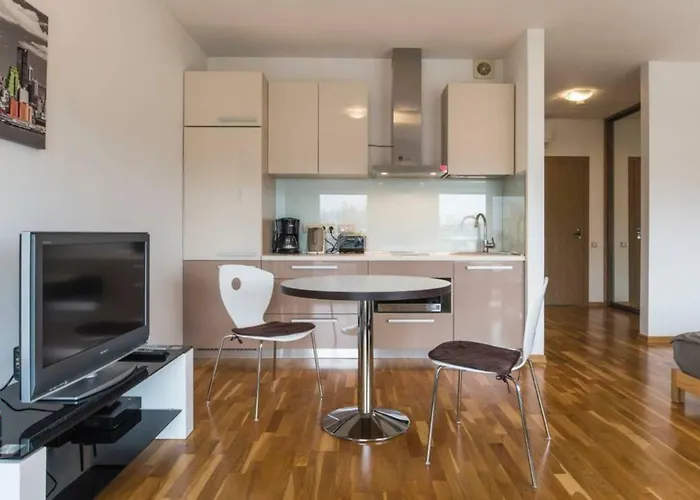 Riga Apartment In The Heart Of City
